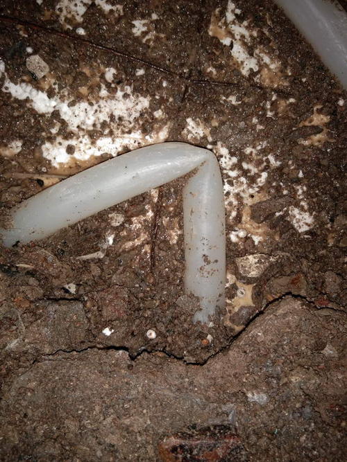 磐安堵点精准查找